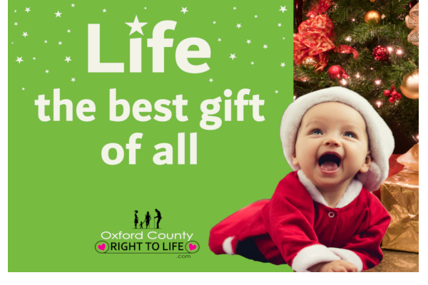 Life, the best gift!