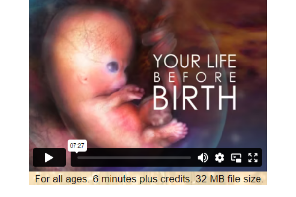 Life Before Birth
